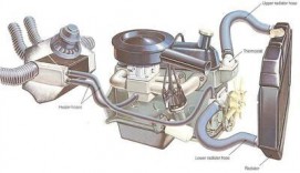 antifreeze-in-the-cooling-system_w400